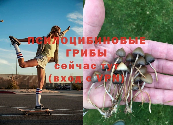 синтетический гашиш Алексеевка