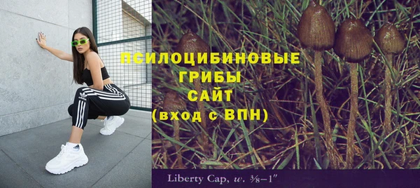 спайс Алзамай