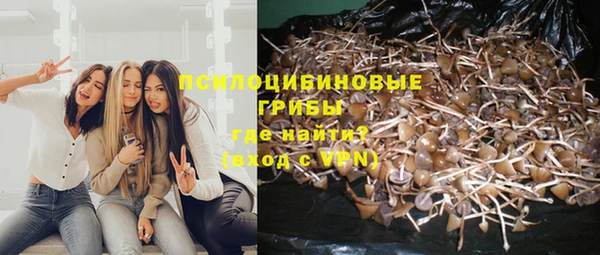 синтетический гашиш Алексеевка
